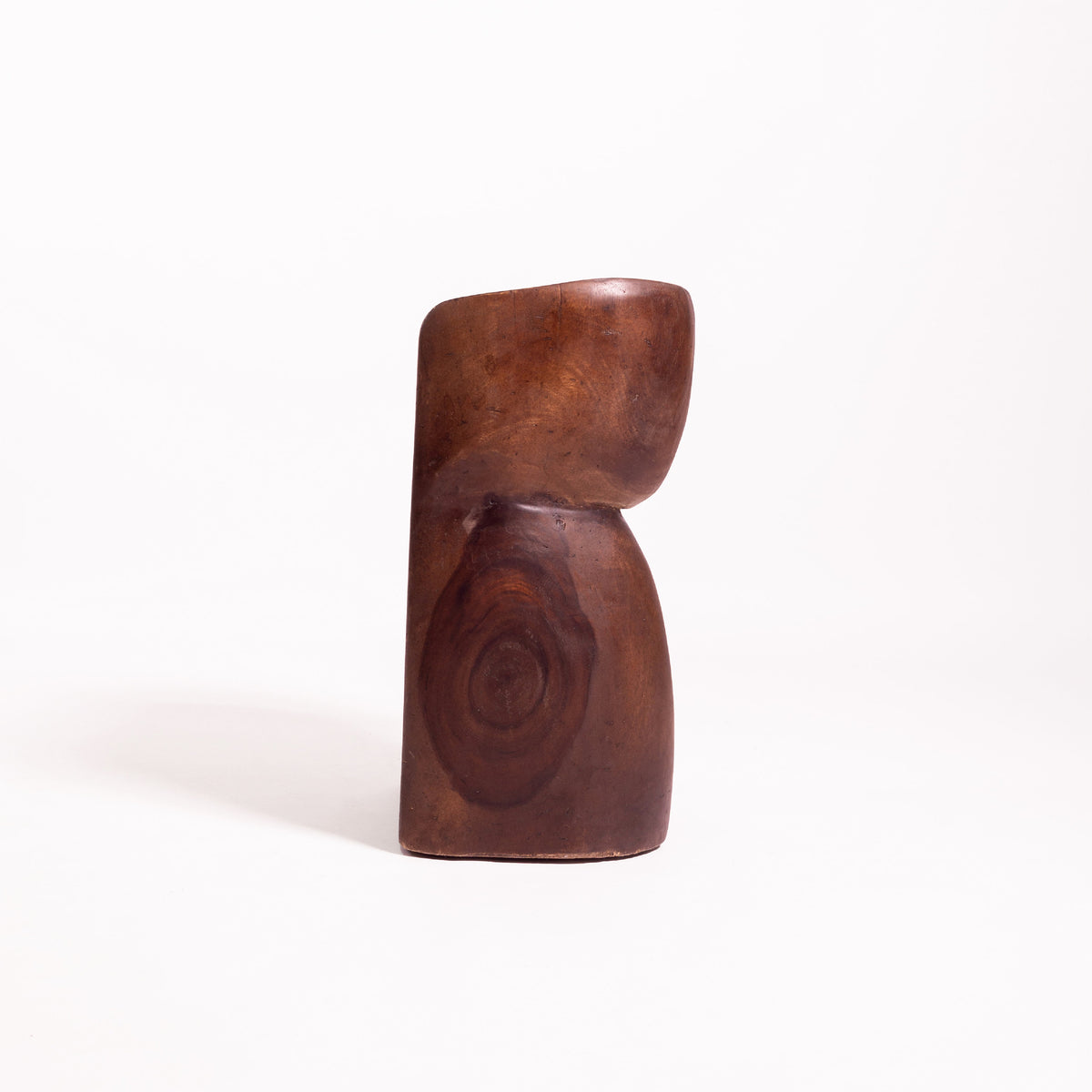 Motte — vue complète — studio KONTRAST